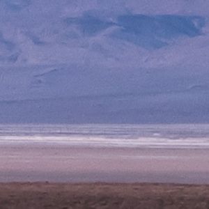 Meet your Posher, Kass